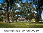 Cane River Creole National Historical Park in Natchez, Natchitoches Parish, Louisiana. Oakland French Creole cotton plantation. Plantation house, raised creole cottage. Live Oak lined avenue.