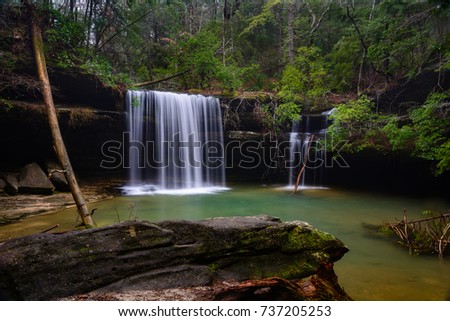 Caney Creek Falls is thought of as one of the best waterfalls in the Bankead National Forest.Considering it is one a 1.5 mile hike from the trailhead, it is also one of the more accesible waterfalls.