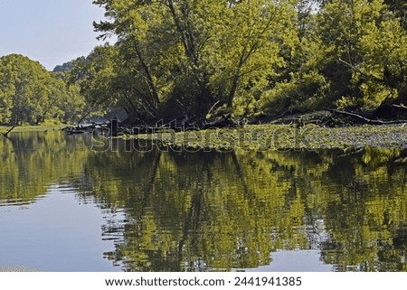 Caney river early summer morning 