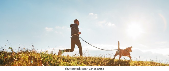 Canicross Übungen. Der Mensch rennt mit seinem Adlerhund am sonnigen Morgen. Gesunder Lebensstil