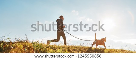 Canicross exercises. Man runs with his beagle dog at sunny morning. Healthy lifestyle concept.