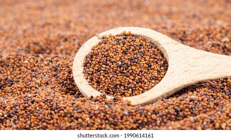 Canihua Seeds in Wooden Spoon Macro Shot. Organic Superfood. Chenopodium Pallidicaule as Goosefoot Quinoa