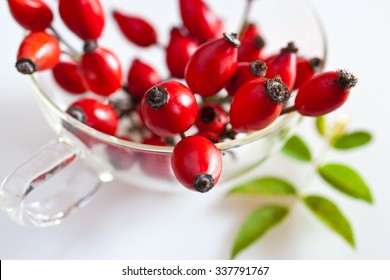 canina rosa healing tea with ripe red berries / rose hip drink / Pometum