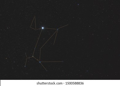 Canis Major With Constellation Line.