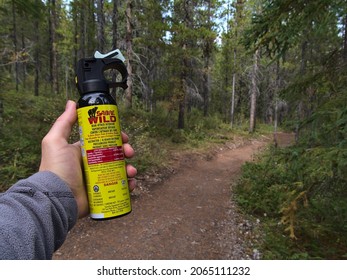 Canmore, Alberta, Canada - 09-17-2021: Hiker holding bear spray (Sabre Wild brand) used as bear attack deterrent in forest near Canmore, Canada with hiking trail in background. Focus on can.