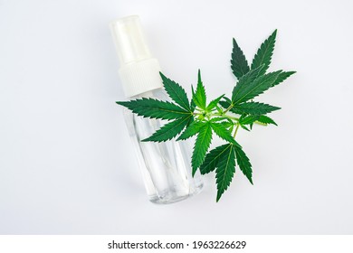 Cannabidiol CBD Cannabis Infused Spray Water Soluble Spray Fast Acting And Increased Bio Availability