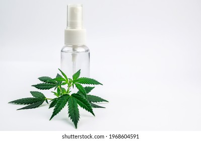 Cannabidiol CBD Cannabis Infused Spray Water Soluble Spray Fast Acting And Increased Bio Availability