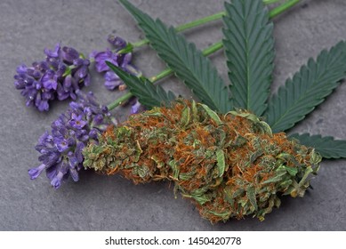 Cannabis Bud And Leaf With Levander Depicting Linalool Terpene.