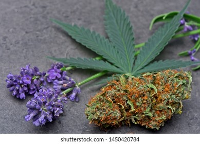 Cannabis Bud And Leaf With Levander Depicting Linalool Terpene.