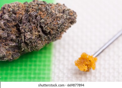 Cannabis Bud And Live Resin Cannabis Oil