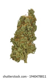 Cannabis Bud, Master Kush Variety