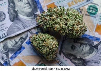 Cannabis Buds With Money