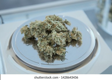 Cannabis Buds On Weight Scale. Medical / Recreational Cannabis. Cannabis Dispensary Buds For Sale.