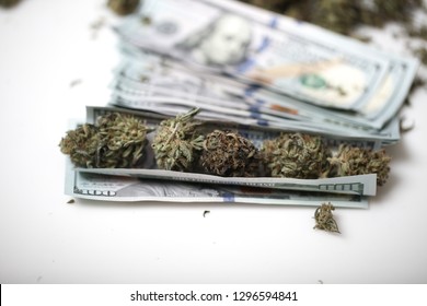 Cannabis Business Concept. Medical Marijuana And Money