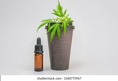 Cannabis CBD infused Coffee with hemp leaves and cbd oil bottle, concept of usage of cannabis in food and drink industry