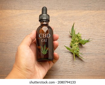 Cannabis CBD Oil Bottle On The Palm And Marijuana Buds Flower Over A Wooden Table. Cannabis Can Help Manage Chronic Pain, Nausea, And Vomiting Resulting From Chemotherapy Treatment