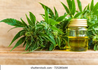 cannabis CBD oil hemp products