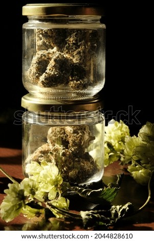 Cannabis drying and curing. Macro view, close up. Marijuana buds in glass jars and hop branch. Eco container. Hemp growing concept. 
