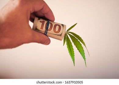 Cannabis finance, money and pot. Revenues in the marijuana industry and the medical industry. American dollar bill on cannabis leaves. The economy of hemp industry. Tax on weed