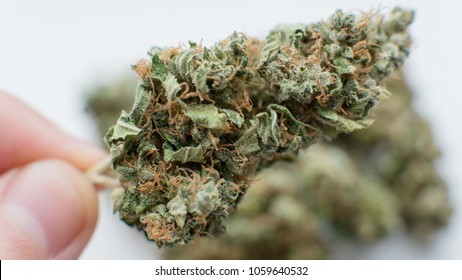 Cannabis Flowers Impatient Gardeners Types Marijuana Stock Photo ...