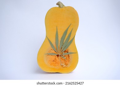 9,312 Cannabis vegetative Images, Stock Photos & Vectors | Shutterstock