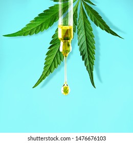 Cannabis leaf and a dropper with drop of CBD OIL close-up on blue background. Macro. Minimal concept
