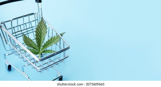 Cannabis Leaf Lay In Shopping Cart. CBD Weed Online Purchase. Medical Marijuana Sale. Copy Space