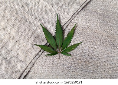 Cannabis Leaf Lies On A Rough Hemp Fabric Texture