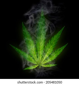 Cannabis leaf, marijuana, close-up.