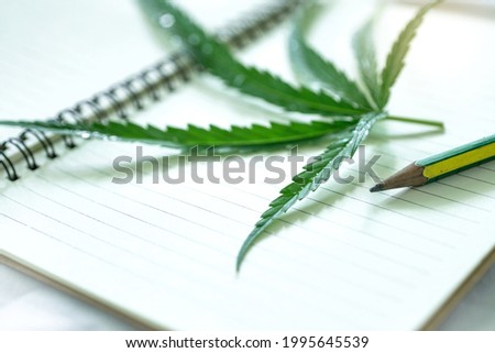 Cannabis leaf on book with pencil, Learning about cannabis leaf for medical treatment, selective focus