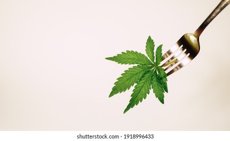 Cannabis Leaf On Fork Banner. Cooking Marijuana Edibles. CBD Oil Food. Copy Space. White Background 