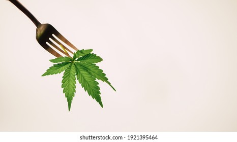 Cannabis Leaf On Fork Banner. Cooking Marijuana Edibles. CBD Oil Food. Copy Space. White Background