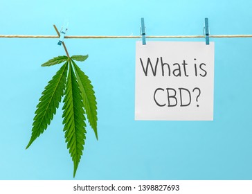 Cannabis leaf and paper writing What is CBD? cannabidiol hanging on hemp rope against blue background