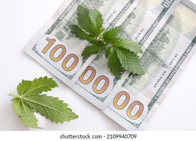 Cannabis leaves. The legality of cannabis, legal and illegal in the world. One hundred dollars. Light background Business concept of marijuana cannabis, medical marijuana stock market. Dollar THC CBD 