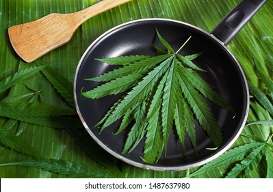 Cannabis Leaves Marijuana Green Color For Cooking On Green Leaf Background With Blurred Cannabis Weed Leaves, Edible Hemp Leaf With High Nutrients For Cancer Medical Healthcare