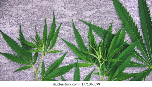 1,172 Hemp concrete Images, Stock Photos & Vectors | Shutterstock