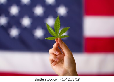 Cannabis Legalization In The United States Of America . Cannabis Leaf In Hands On Usa Flag Background Medical Hemp