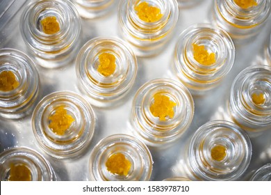 Cannabis Live Resin Sauce Concentrate THC Oil Medical Marijuana Extract 