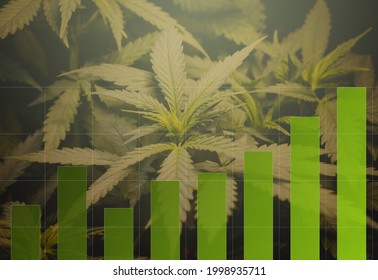 Cannabis marijuana  investment indicator graph charts. The concept of a company or stock market of marijuana exports for medical use.Photo Collage