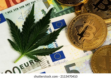 Cannabis Medical Marijuana Leaf with Bitcoin Cryptocurrency coins and Euro Banknotes. Cannabis Medical Marijuana Business Concept. BTC Bitcoin Euro € Dollar Marijuana Cannabis CBD Hemp Stock Market 