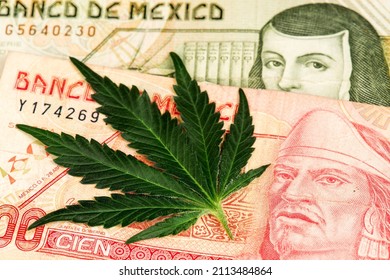 Cannabis Medical Marijuana Leaf lying on Mexican Pesos MXN currency banknotes. CBD THC Cannabis Marijuana Mexico Pesos 