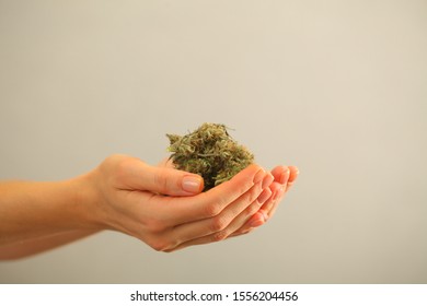 Cannabis Medical Purchase At The Store Mail Delivery Concept. Dried Marijuana Buds.