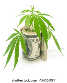 The Cannabis And Money