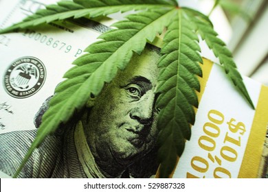 Cannabis With Money Stock Photo High Quality 
