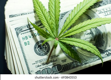 Cannabis With Money Stock Photo High Quality