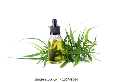 Cannabis Oil, Cbd Oil Cannabis Extract Isolated On White Background.