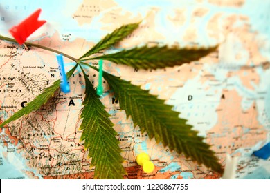 cannabis on canada map. legalization concept