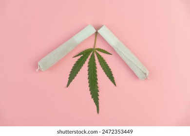 Cannabis are on pink table. Marijuana bob close up. Cannabis in white paper. BMPCC. Marijuana, weed, drug smoking concept. CBD, THC. Preparing cannabis for consumption. legalization of light drugs.