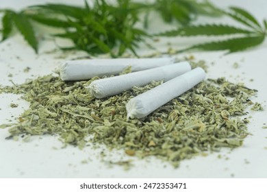 Cannabis are on white table. Marijuana bob close up. Cannabis in white paper. BMPCC. Marijuana, weed, drug smoking concept. CBD, THC. Preparing cannabis for consumption. legalization of light drugs.