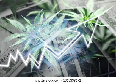 Cannabis Penny Stocks 